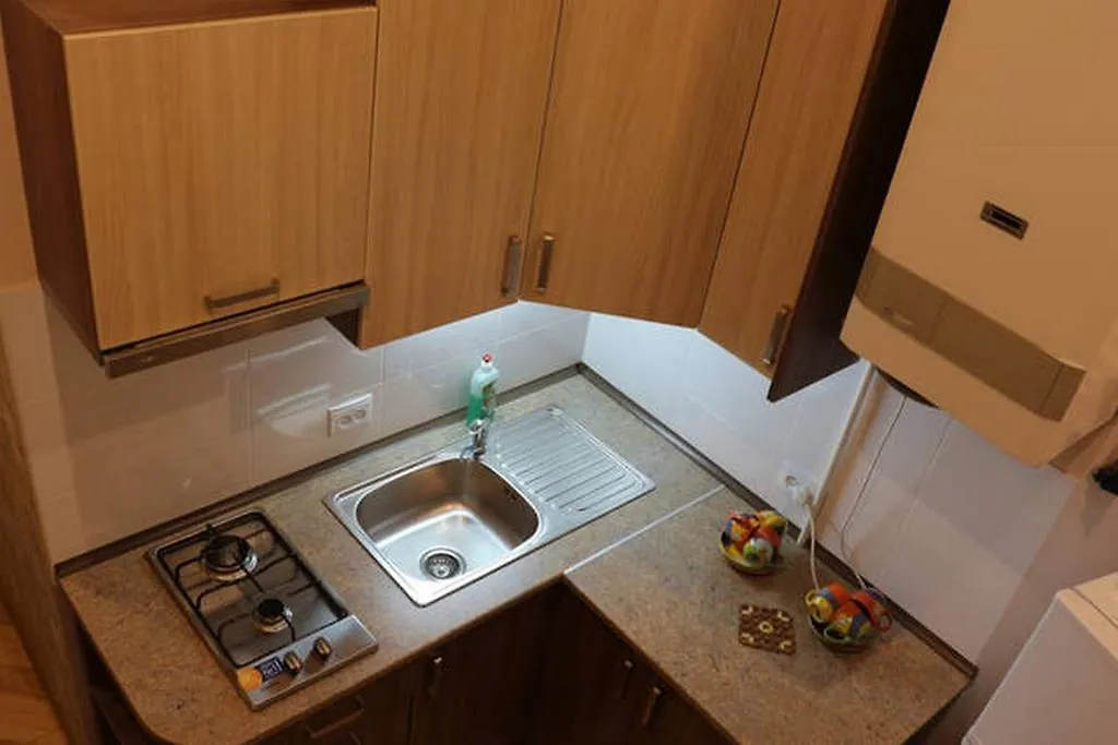 Horodotska 60 Apartment Lviv