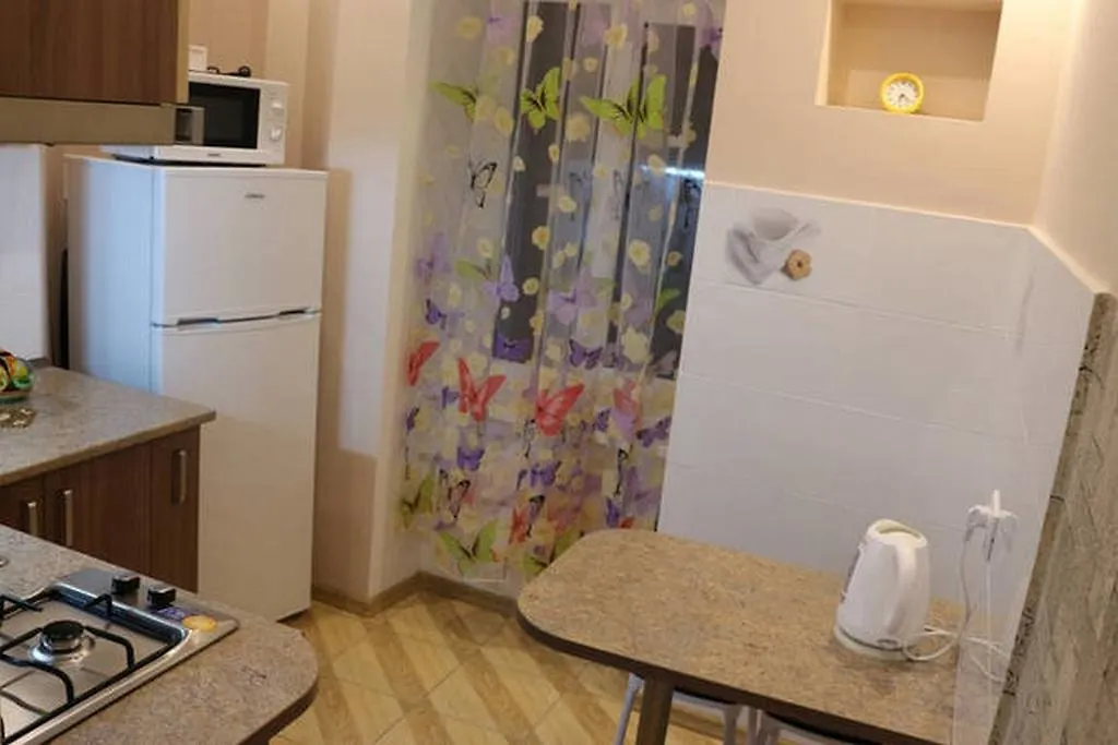 Horodotska 60 Apartment Lviv